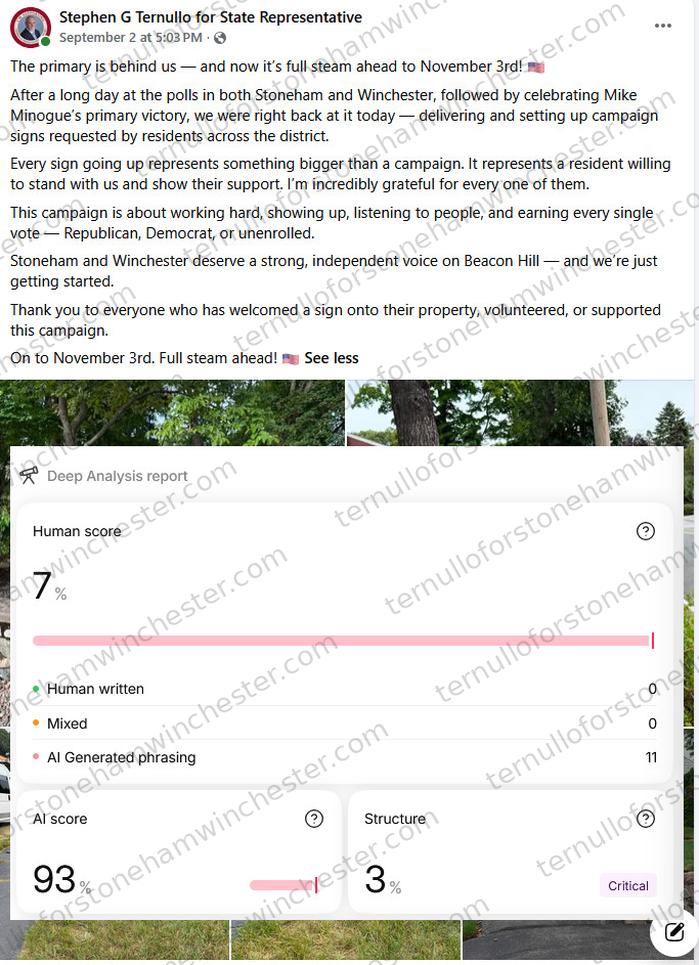 Facebook post from the "Stephen G Ternullo for State Representative" campaign page (Sep 2 at 5:03PM), with an AI-detection browser extension's "Deep Analysis report" overlaid on top of it. Full transcript in the text version below.