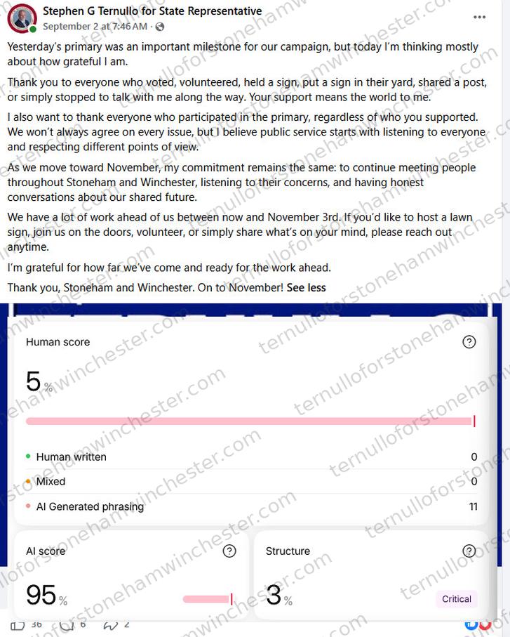 Facebook post from the "Stephen G Ternullo for State Representative" campaign page (Sep 2 at 7:46AM), with an AI-detection browser extension's "Deep Analysis report" overlaid on top of it. Full transcript in the text version below.