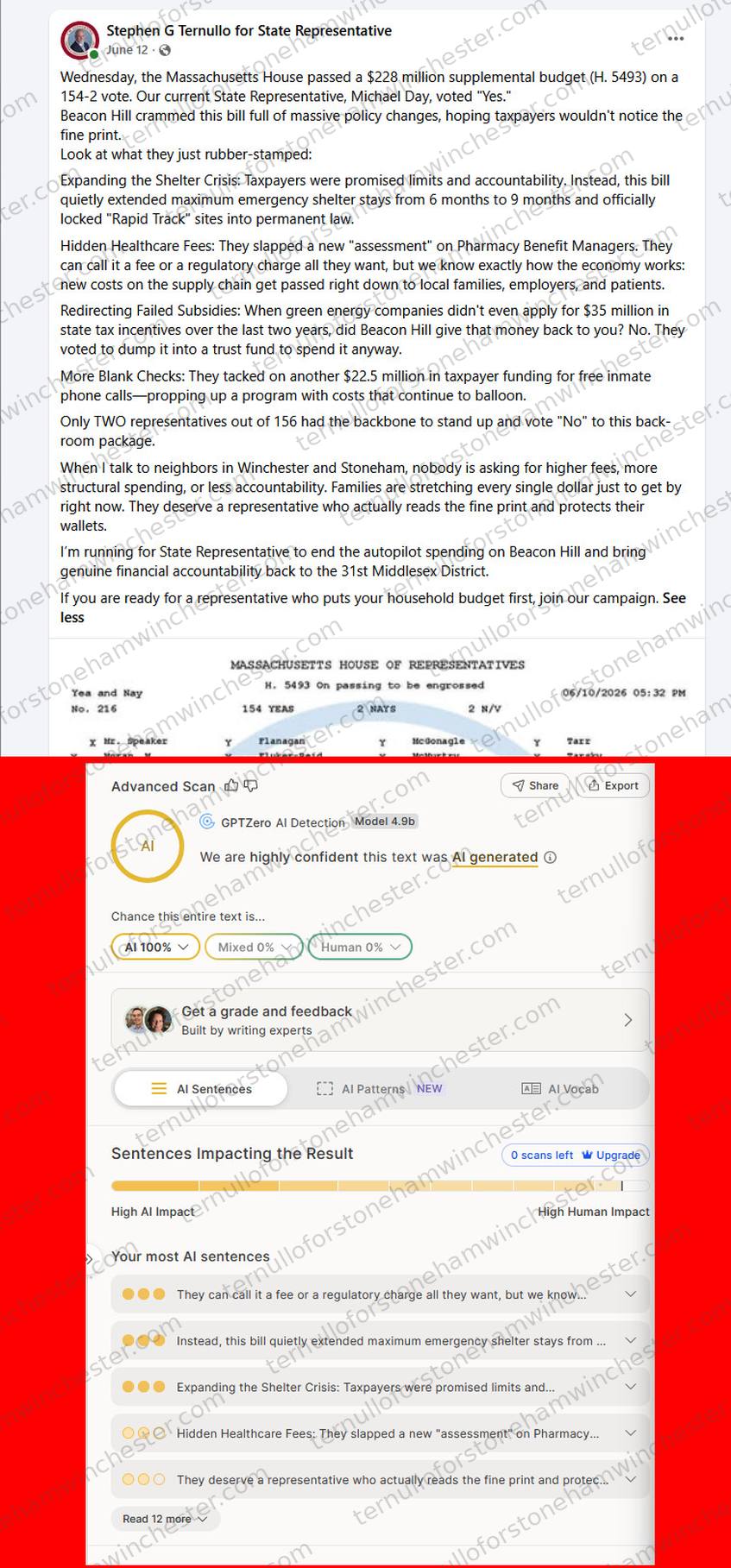 Facebook post from Stephen G Ternullo's campaign page (June 12), with the "GPTZero" AI-detection browser extension's "Advanced Scan" overlaid below it. Full transcript in the text version below.