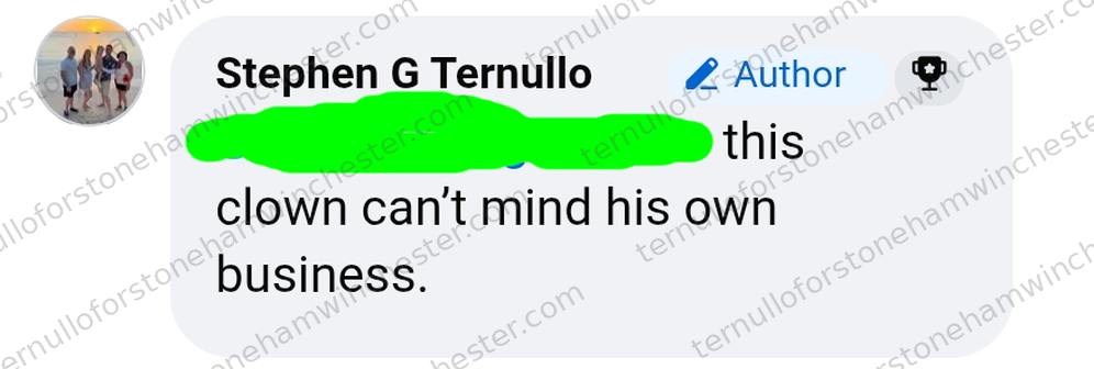 Single Facebook comment by Stephen G Ternullo (marked "Author"), calling someone a "clown." Full transcript in the text version below.