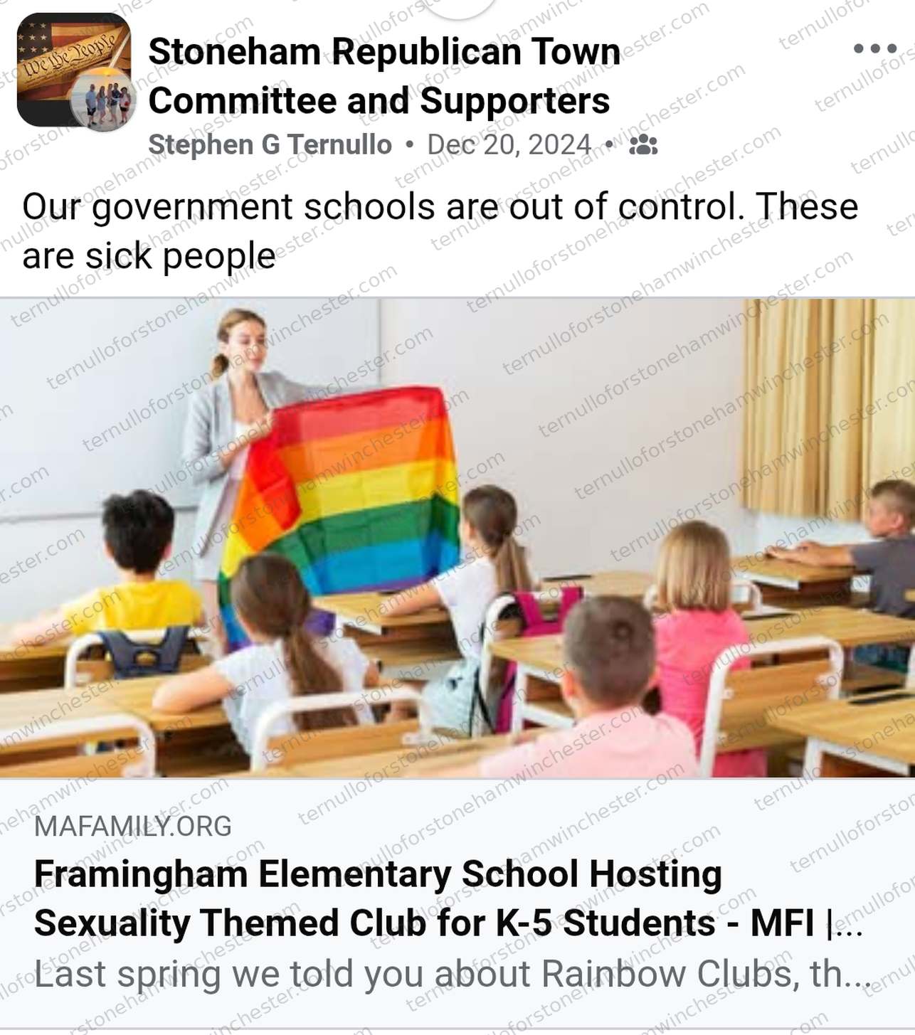 Facebook post in the "Stoneham Republican Town Committee and Supporters" group by Stephen G Ternullo (Dec 20, 2024). Full transcript in the text version below.