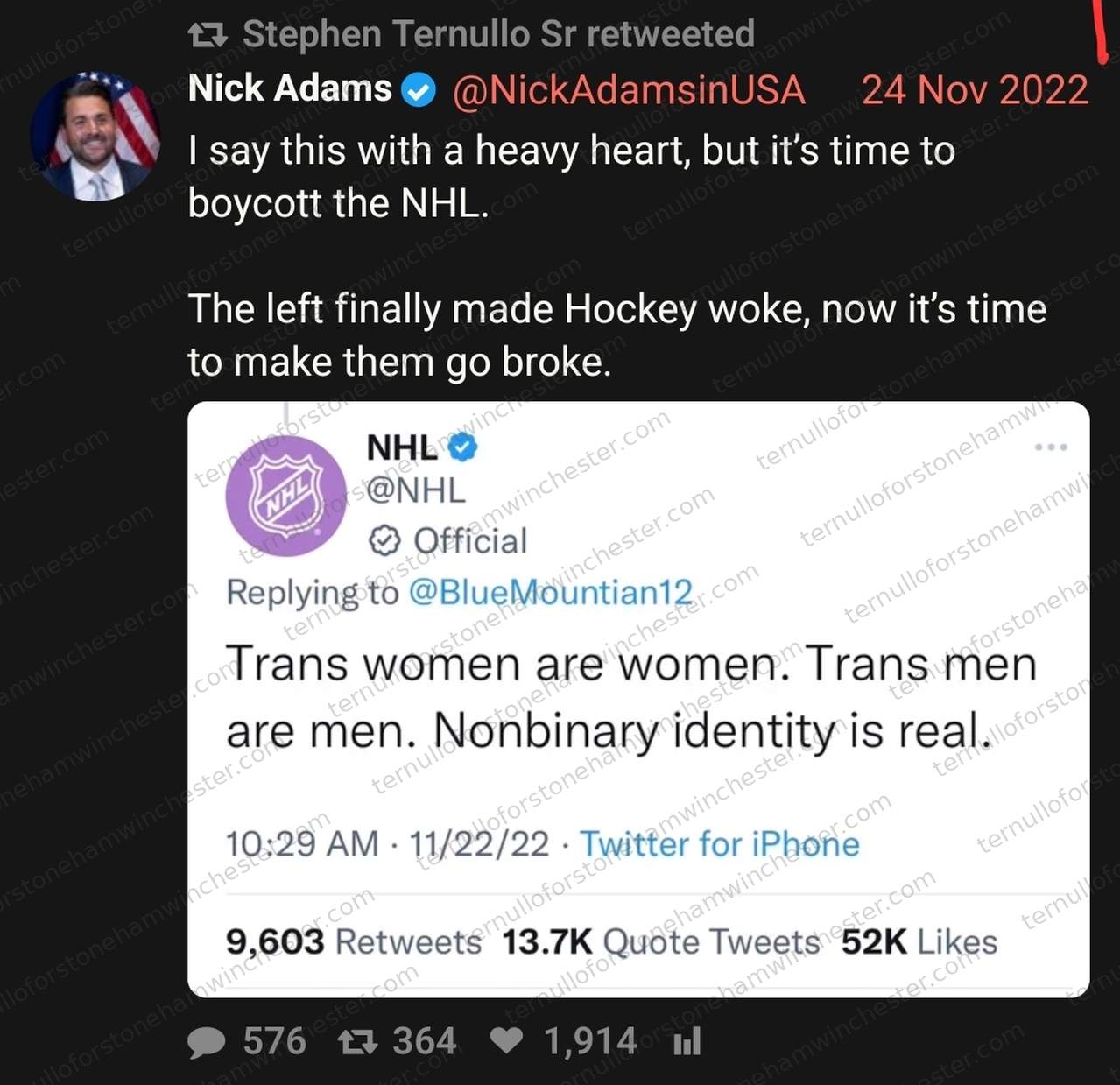 Screenshot of a tweet by Nick Adams (@NickAdamsinUSA, Nov 24, 2022) calling for a boycott of the NHL, retweeted by Stephen Ternullo Sr. Full transcript in the text version below.