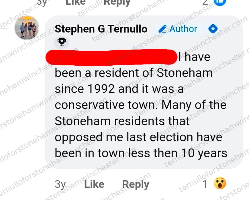 Single Facebook comment by Stephen G Ternullo (marked "Author"), about longtime versus newer Stoneham residents. Full transcript in the text version below.