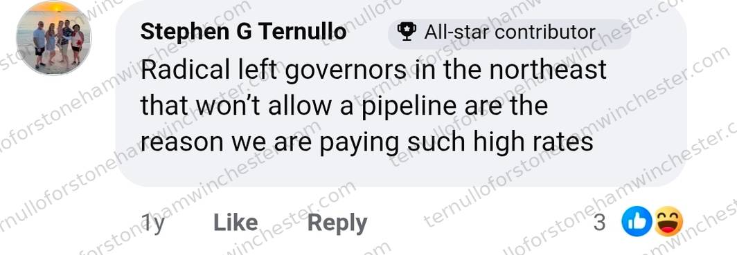 Single Facebook comment by Stephen G Ternullo (marked "All-star contributor"), about energy prices. Full transcript in the text version below.