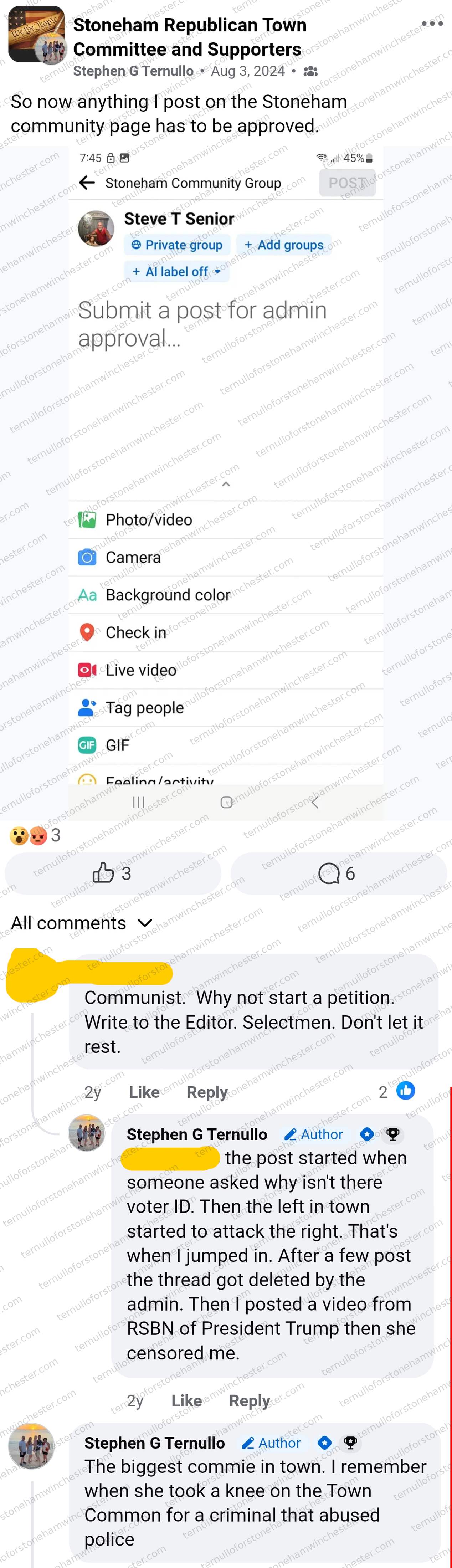 Facebook post in the "Stoneham Republican Town Committee and Supporters" group by Stephen G Ternullo (Aug 3, 2024), complaining that his posts on the Stoneham Community Group now require admin approval. Full transcript in the text version below.