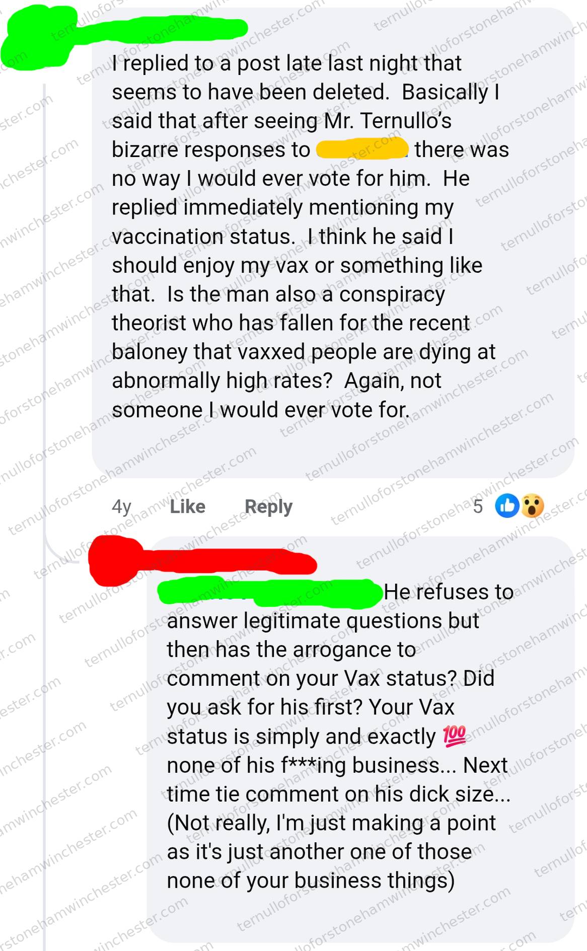 Facebook comment thread, from about four years before the screenshot, in which a redacted commenter (User A) recounts replying to a now-deleted post that Stephen Ternullo's "bizarre responses" to another user (User B, also redacted, referenced only in passing) convinced her never to vote for him β and that he retaliated by bringing up her vaccination status. Full transcript in the text version below.