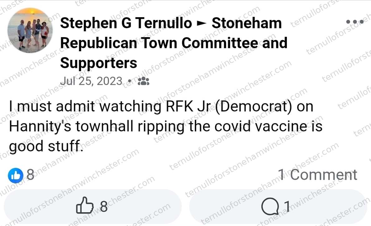 Facebook post in the "Stoneham Republican Town Committee and Supporters" group by Stephen G Ternullo (Jul 25, 2023), text-only. Full transcript in the text version below.